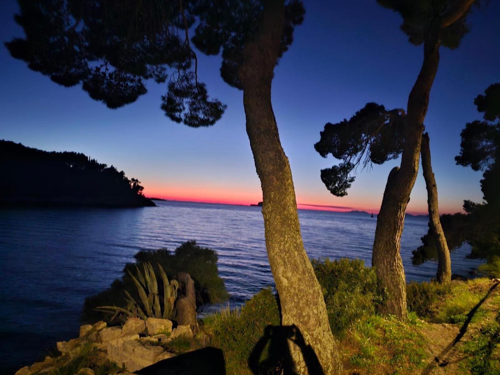 Villa Anica Dubrovnik - Luxurious With A Sea View Extérieur photo